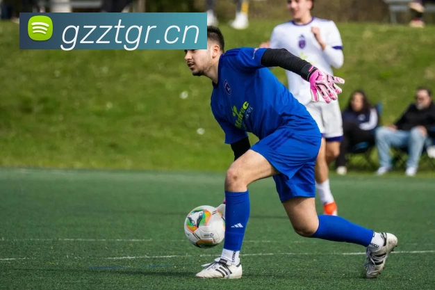 MG不朽情缘(中国区)官方网站平台生态图